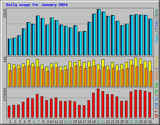 Daily usage for January 2024