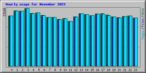 Hourly usage for November 2023