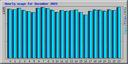 Hourly usage for December 2023