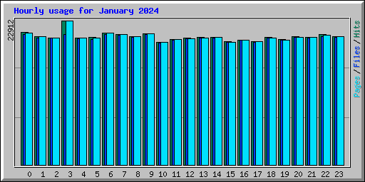 Hourly usage for January 2024