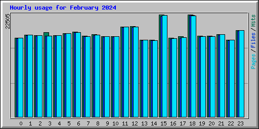 Hourly usage for February 2024