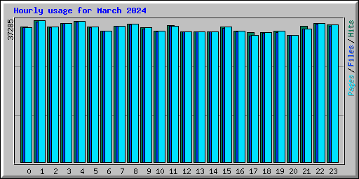 Hourly usage for March 2024