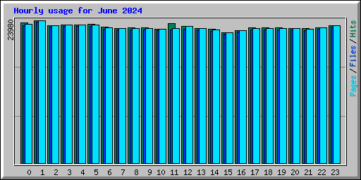 Hourly usage for June 2024