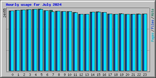 Hourly usage for July 2024