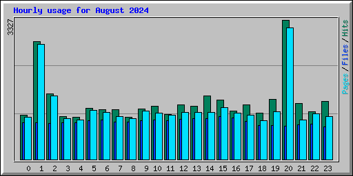 Hourly usage for August 2024