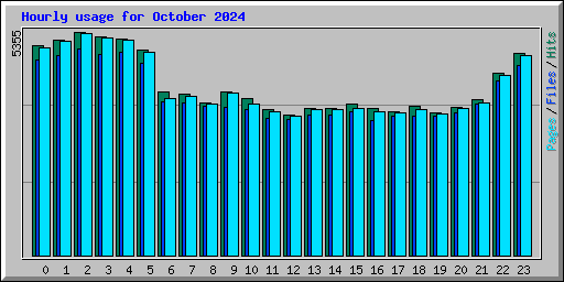 Hourly usage for October 2024